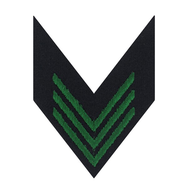chevron-triple-vert-s-marine